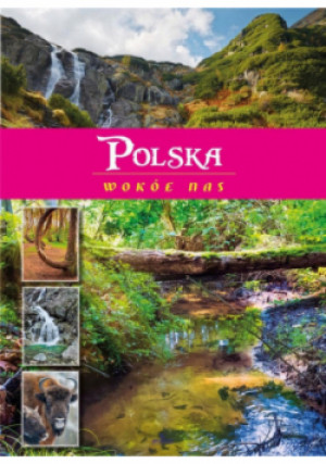 Polska wokół nas - Joanna Wilder - książka reportaż wyd. 2020