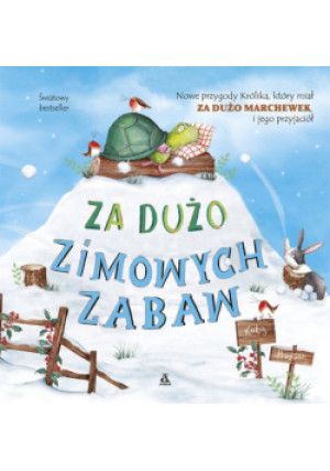 Za dużo zimowych zabaw - Katy Hudson - książka  wyd. 2018