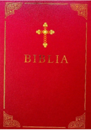 Biblia Kronika rodziny - John Walkenbach - książka  wyd. 2005