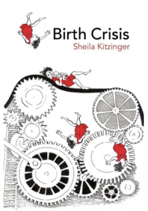 Birth Crisis - Sheila Kitzinger - książka  wyd. 2006