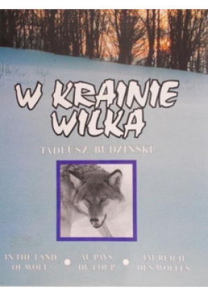 W krainie wilka - Tadeusz Budziński - książka  wyd. 1995