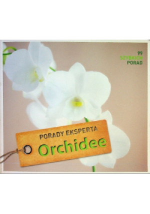 Orchidee - Folko Kullmann - książka  wyd. 2014