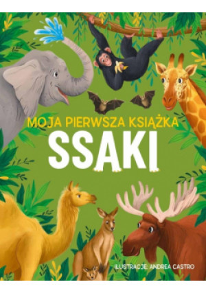 Ssaki. Moja pierwsza książka - Eliza Jeffery - książka  wyd. 2025