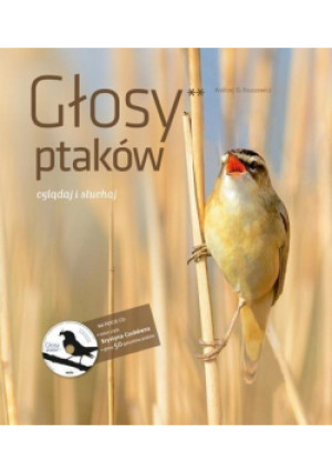 Głosy ptaków Tom 2 - Andrzej G. Kruszewicz - książka  wyd. 2015
