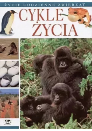 Cykle życia - Marco Ferrari - książka  wyd. 2002