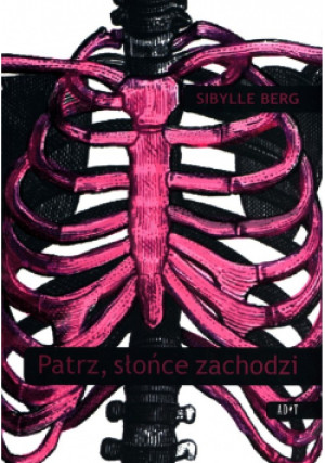 Patrz słońce zachodzi - Sibylle Berg - książka  wyd. 2013