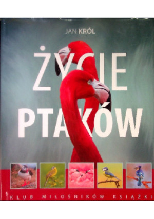 Życie ptaków - Jan Król - książka  wyd. 2018
