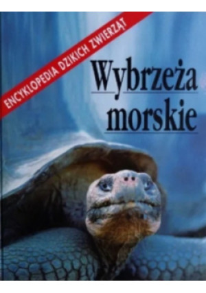 Wybrzeże morskie - książka  wyd. 1992