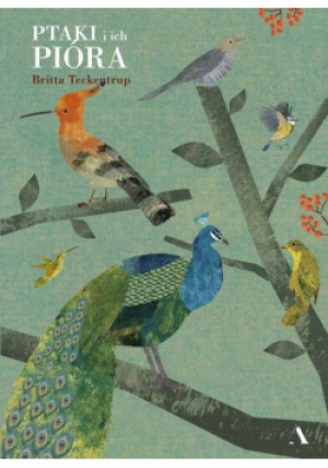 Ptaki i ich pióra - Britta Teckentrup - książka  wyd. 2021