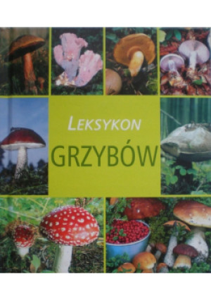 Leksykon grzybów - Hans Kothe - książka  wyd. 2007