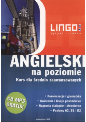 Angielski na poziomie - Gabriela Oberda - książka  wyd. 2019