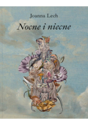 Nocne i niecne - Joanna Lech - książka  wyd. 2024