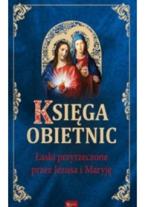 Księga obietnic - Henryk Bejda - książka  wyd. 2017