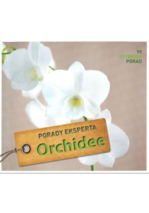 Orchidee - Folko Kullmann - książka  wyd. 2014