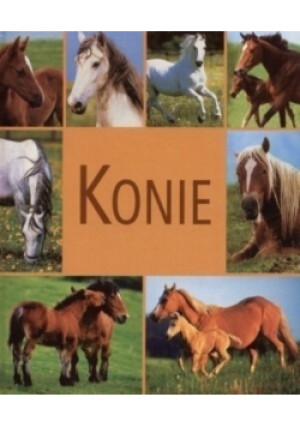 Konie - Mariola Jezierska - książka  wyd. 2008