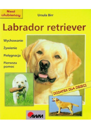 Labrador retriver - Ursula Birr - książka  wyd. 2004