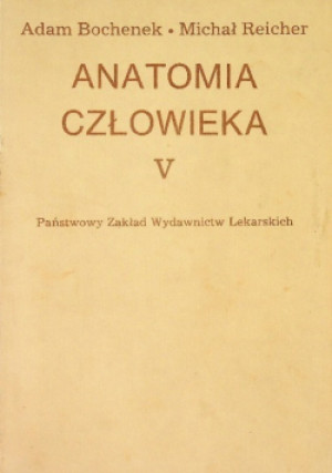Anatomia człowieka Tom V - Adam Bochenek, Michał Reicher - książka  wyd. 1989