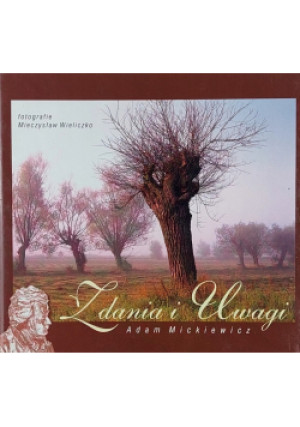 Zdania i Uwagi - Adam Mickiewicz - książka