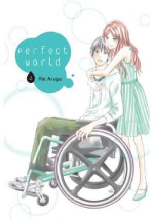 Perfect World Tom 2 - Rie Aruga - książka  wyd. 2019