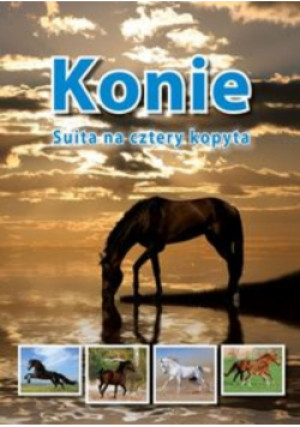 Konie - Jolanta Reisch-Klose - książka  wyd. 2013