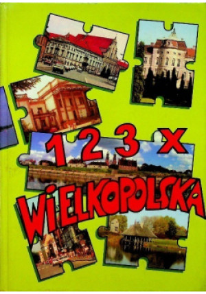 123X Wielkopolska - Paweł Anders - książka historyczna wyd. 1995