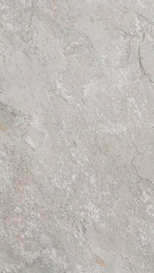 Porcelanosa Image Silver L 25x44,3 matowo-błyszcząca nierektyfikowana
