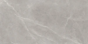 Baldocer Bayona Silver Pulido 120x240 połysk