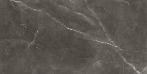 Baldocer Bayona Grey Pulido 120x240 połysk