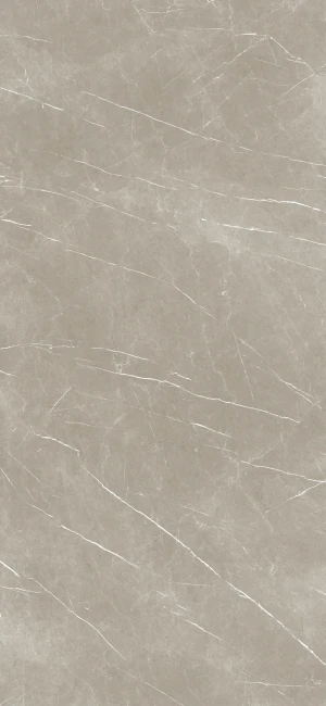 Baldocer Eternal Taupe Natural 120x260 mat