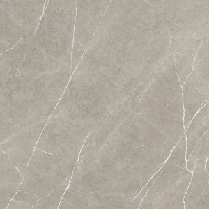 Baldocer Eternal Taupe Natural 80x80 mat