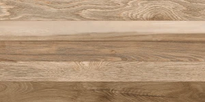 Baldocer Villewood Elm 60x120 mat