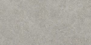 Baldocer Brunswich Acero 60x120 mat
