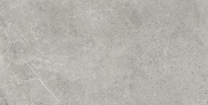 Baldocer Dome Ash 60x120 mat