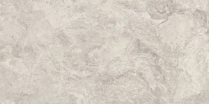 Baldocer Canyon Grey 60x120 mat
