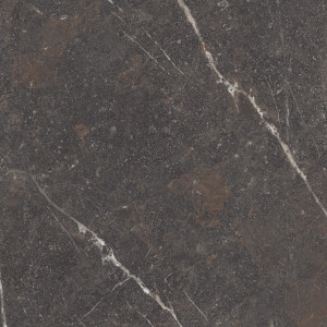 Museum Royal Brown 120x120 mat rektyfikowana