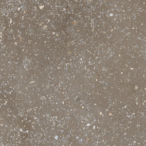 Harmony Cosmos Chocolate 22,3x22,3 mat
