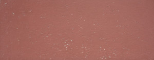 La Platera Goldstone Burgundy 35×90 [mat]