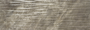 Baldocer Dune Balmoral Brown 30x90 [połysk]