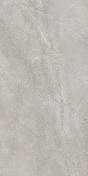 Baldocer Bayona Silver Pulido 60x120 [połysk]