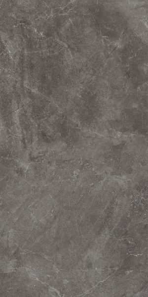 Baldocer Bayona Grey Pulido 60x120 [połysk]
