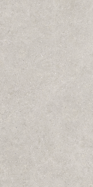 Baldocer Brunswich Ceniza 80x160 [mat]