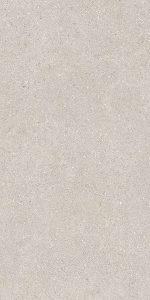 Baldocer Brunswich Ceniza 60x120 [mat]