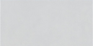 Pamesa At Blaze Argent 30,3x61,3 [mat]