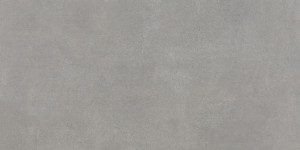 Pamesa Omnia Ash 60x120 [mat]