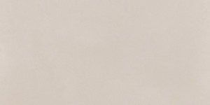 Pamesa Omnia Beige 30x60 [mat]