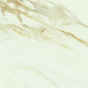 Baldocer Adaggio Gold Pulido 80x80 [połysk]