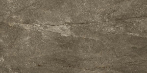 Pamesa Wells Moka 60x120 [połysk]