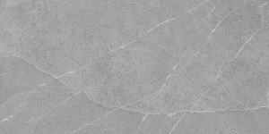 Pamesa Lavagna Pietra di Argento 60x120 [mat]