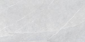 Pamesa Lavagna Pietra di Perla 60x120 [mat]