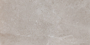 PAMESA Essentiale Erding Ash 60x120 [mat]